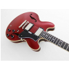 FGN Masterfield Semi Custom HH Cherry electric guitar