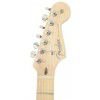 Fender American Stratocaster MN 3TS elektrick� gitara