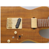 FGN Expert Iliad EW Vintage Natural electric guitar