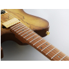 FGN Expert Iliad EW Hojicha Burst electric guitar