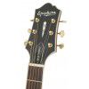 Epiphone AJ500 RE elektricko-akustick gitara