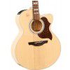 Takamine EG523SC elektricko-akustick� gitara