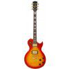 Richwood RE129 CS elektrick� gitara
