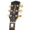 Richwood RE129 CS elektrick� gitara