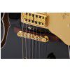 Gretsch G6120BK Chet Atkins elektrick gitara