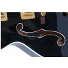 Gretsch G6120BK Chet Atkins elektrick gitara
