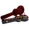 Gretsch G6120BK Chet Atkins elektrick gitara