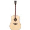 Tanglewood TR D akustick gitara
