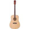Tanglewood DBT DLX D akustick gitara