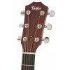 Taylor 214 CE elektricko-akustick gitara