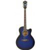 Ibanez AEL 20 E TB elektricko-akustick gitara
