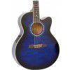 Ibanez AEL 20 E TB elektricko-akustick gitara