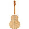 Ibanez EW 20 AS NT akustick gitara