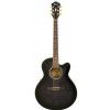 Ibanez AEL 20 E TK elektricko-akustick gitara