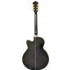 Ibanez AEL 20 E TK elektricko-akustick gitara