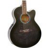 Ibanez AEL 20 E TK elektricko-akustick gitara