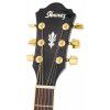 Ibanez AEL 20 E TK elektricko-akustick gitara