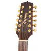 Takamine EG345C elektricko-akustick gitara