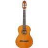 Baton Rouge DF44 C klasick� gitara
