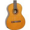 Baton Rouge DF44 C klasick� gitara