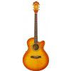Ibanez AEL 20 E VV elektricko-akustick gitara