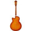 Ibanez AEL 20 E VV elektricko-akustick gitara