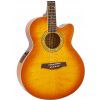 Ibanez AEL 20 E VV elektricko-akustick gitara