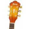 Ibanez AEL 20 E VV elektricko-akustick gitara