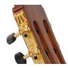 Baton Rouge LM8 C klasická gitara Baton Rouge LM8 C klasická gitara