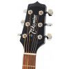 Takamine EG260C TBL  elektricko-akustick gitara