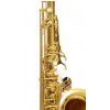 Roy Benson TS-202  tenorov saxofn