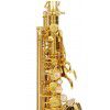 Selmer Paris Serie III GP altov saxofn