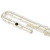 Trevor James 3011-ECD priena flauta s puzdrom