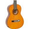 Valencia CG 160 14 klasick gitara