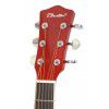 T.Burton Greengo W C TRD akustick� gitara