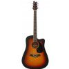 T.Burton Maiden W C BS akustick� gitara