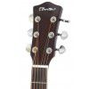 T.Burton Riverside Cutaway WRS akustick� gitara