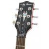 Jay Turser JT220 CS elektrick gitara