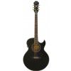 Epiphone PR 5E EB elektricko-akustick gitara