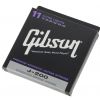 Gibson SAG J200UL struny na akustickú gitaru