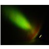 Flash PAR 36 LED reflektor