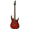 Ibanez RG-321MH BBS elektrick gitara