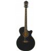 Ibanez AEG8E BK elektricko-akustick gitara
