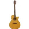 Dowina GACE555 elektricko-akustick gitara