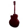 T.Burton Riverside J C N akustick gitara