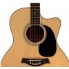 T.Burton Riverside J C N akustick gitara