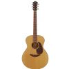 Furch G20-CM akustick gitara