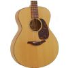 Furch G20-CM akustick gitara