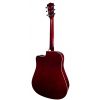 T.Burton Greengo W C N akustick gitara