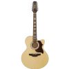 Takamine EG523SC 12 elektricko-akustick gitara